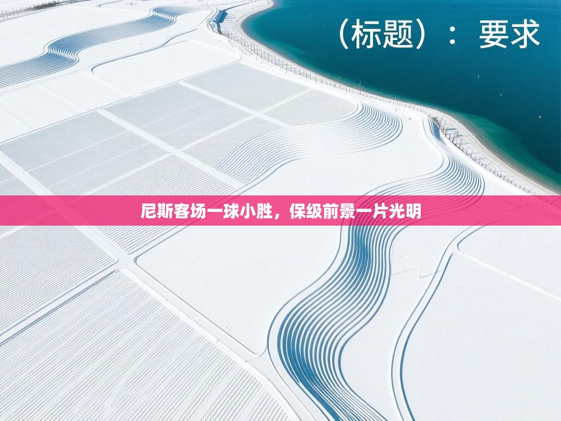 尼斯客场一球小胜，保级前景一片光明  第2张