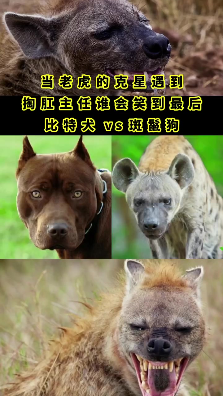 星空体育中国官网-火爆对决，高潮迭起谁将笑到最后？的简单介绍